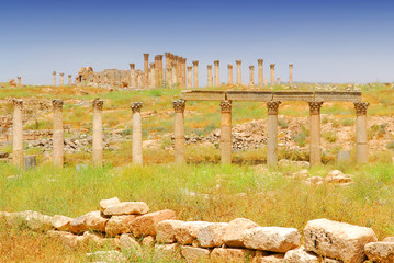 jerash 5