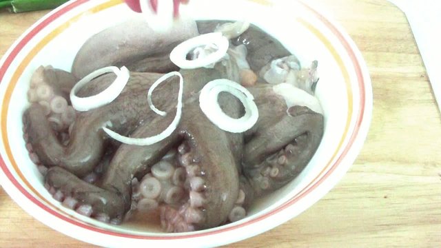 Octopus