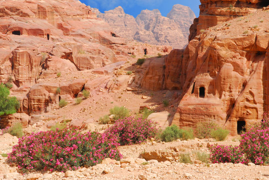 caves in petra, jordan