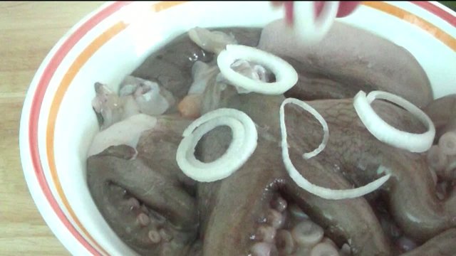 Octopus