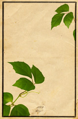 design floral, sur un fond de vieux papier usé