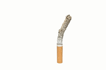 tabaco 4