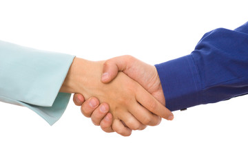 Businesspeople shaking hands