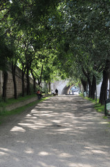 paris seine