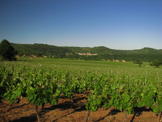 Fototapeta na wymiar Wiele Valley, Quercy