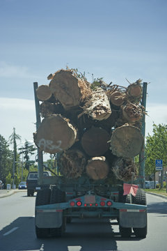 Truck in Motion carrying a Load of Logs