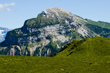 Paysage alpin (Charmant Som)