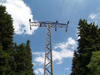 Strommast mit Bäumen