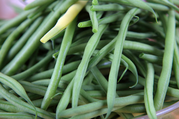 Haricots verts frais.