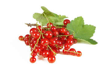 Rote Johannisbeeren