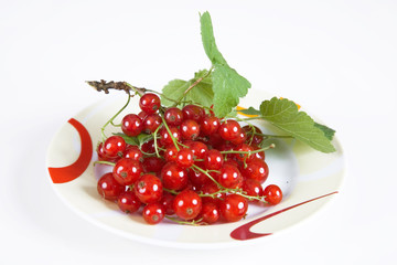 Rote Johannisbeeren