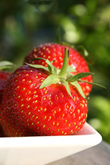 Erdbeeren