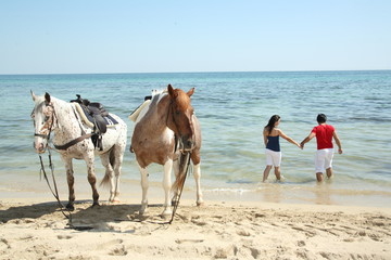 cavalli coppia mare