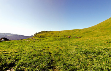 Paysage alpin (Charmant Som)