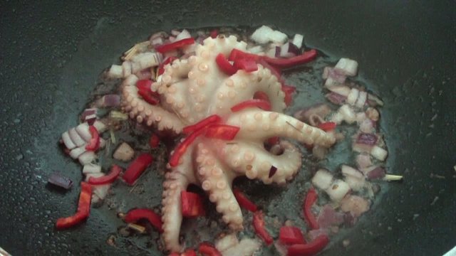 Octopus