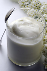 Yogurt bianco