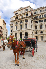 Naklejka na ściany i meble horse and carriage on plaza in havana cuba