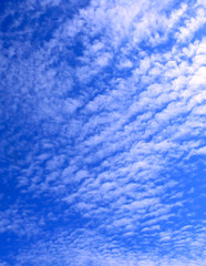 Summer cirrus