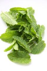 fresh mint
