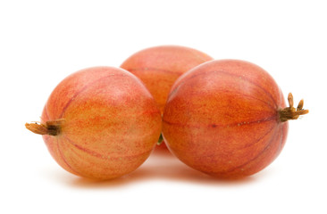 fresh gooseberry on white background