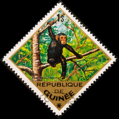Postal stamp. Chimpanzee