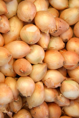 Obraz na płótnie Canvas Background from golden heads of onions.