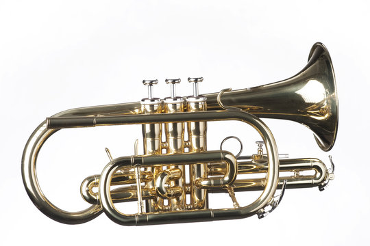 Cornet Trumpet Isolated on White