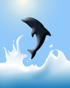 delfino
