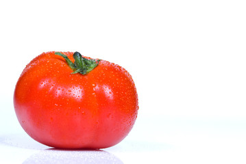 tomato on a white background