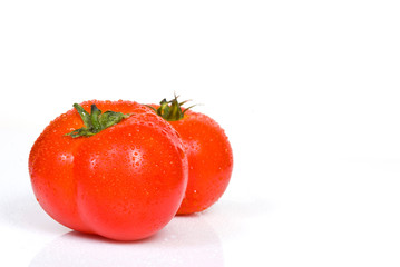 tomato on a white background