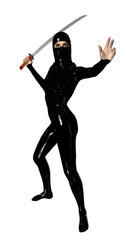 Obraz premium Female Ninja