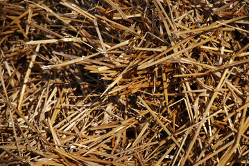 Heap of silage of hay straw for stock feed