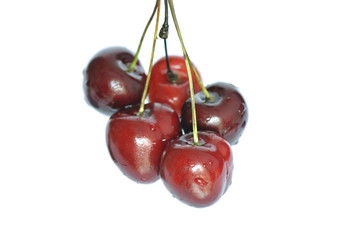 Different washed-up cherries isolated on white background