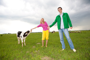 couple in love of play with a little calf in the field