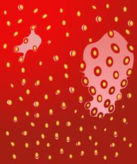 Strawberry texture