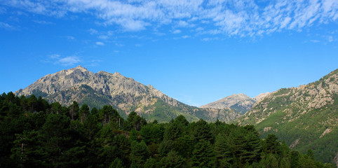 corse parc régional montagne et crêtes près de Venaco.