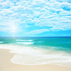 Fototapeta premium Sandy beach