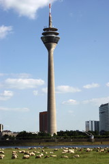 D&uuml;sseldorfer Fernsehturm