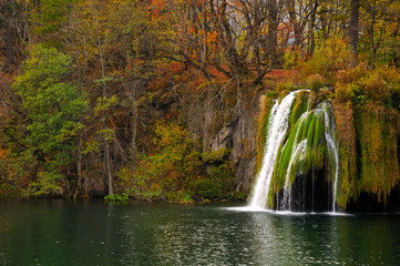 Fototapeta na wymiar Pond and waterfalls in lush vegetation