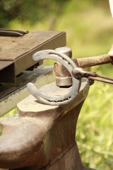 palefrenier au travail fer cheval men at work groom for horse