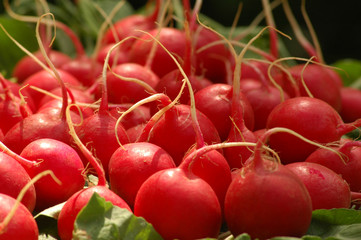 Radieschen