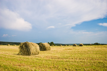 Fototapeta na wymiar Stogi siana na polu | Lato krajobrazu wiejskiego