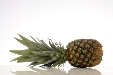 Ananas Sativus