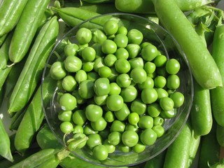 petits pois