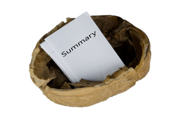 in a nutshell - summary