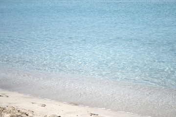 mare