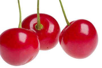 cherries on white background
