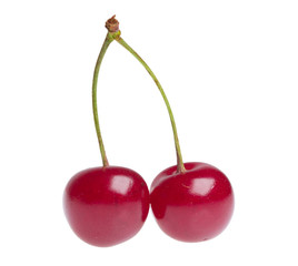 cherries on white background