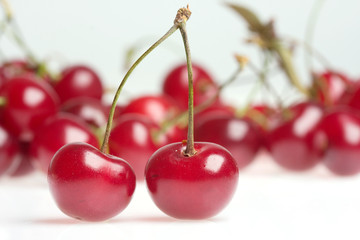 cherries on white background