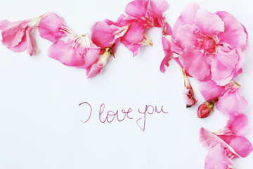 Love card with oleander flowers